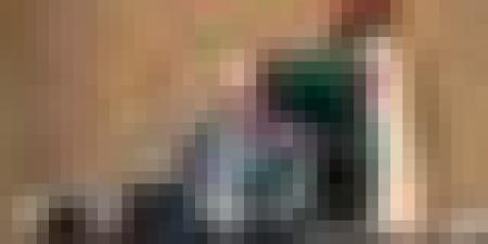 الوزير الأول يترأس اجتماعًا للحكومة