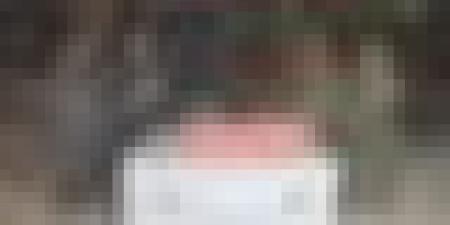 توقيف 8 عناصر دعم للجماعات الإرهابية وحجز أزيد من 4 قناطير من الكيف عبر الحدود مع المغرب و 81 كلغ من الكوكايين