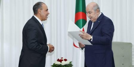 سلّمها وزير الخارجية.. رسالة خطية من الرئيس السيسي إلى نظيره الجزائري