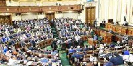 ردا على محامي هدير عبد الرازق.. تشريعية النواب لـ تحيا مصر: إلغاء مادة القيم الأسرية اعتداء على مبادئ المجتمع وحماية الأسرة خط أحمر