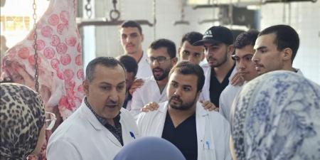 "الخدمات البيطرية" تنظم تدريبًا لطلاب كليات الطب البيطري داخل مجزر البساتين