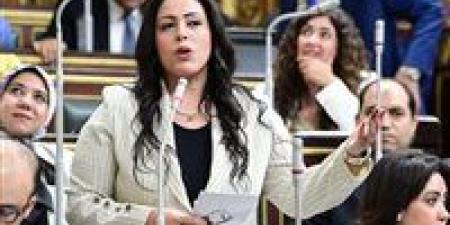 وكيل اتصالات النواب لـ تحيا مصر ردًا على طلب محامى هدير عبد الرازق: مادةالقيم الأسرية ثابتة و«فكرة العبث بها مرفوض »