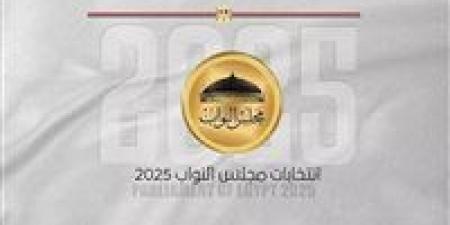 غلق باب التصويت في نيوزيلندا بانتهاء اليوم الأول من انتخابات مجلس النواب للمصريين بالخارج