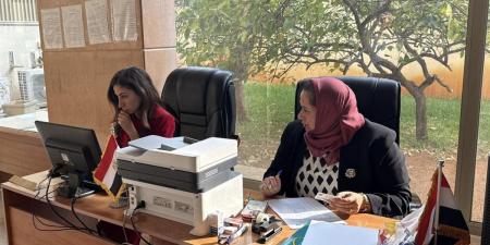 المصريون في لبنان يواصلون المشاركة في انتخابات مجلس النواب 2025