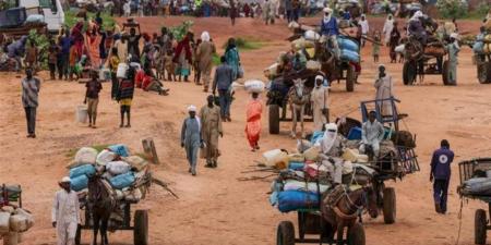 عاجل.. الأمم المتحدة: الصراعات تدمر النظم البيئية فى جميع أنحاء العالم