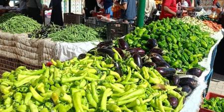 تعرف على أسعار الخضر والفاكهة بأسواق الوادي الجديد
