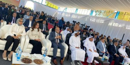 بسعة 2.3 مليون نخلة.. إنشاء أكبر مزرعة نخيل في العالم في "توشكى والعوينات"