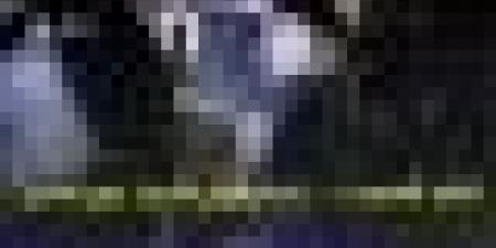 قوات BRI البليدة تداهم وتطيح بعصابات أحياء في مفتاح .. حجز مخدرات وأسلحة بيضاء وتوقيف 9 أشخاص