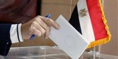 الاستعلام عن اللجنة الانتخابية في انتخابات النواب 2025