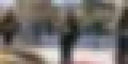 ذكرى اندلاع الثورة التحريرية المجيدة.. رئيس الجمهورية يتلقى التهاني من رؤساء دول