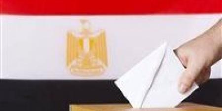 غرفة عمليات«التنسيقية»: تصويت المصريين في الخارج للمرحلة الأولى بانتخابات النواب سار بانضباط وإقبال كثيف دون مخالفات