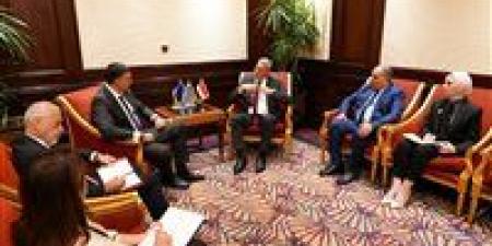 وزير البترول يبحث مع وزير الشؤون البحرية اليوناني التعاون في البنية التحتية للطاقة ونقل الغاز إلى أوروبا