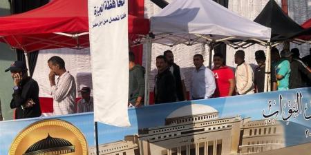 عمليات "تنسيقية شباب الأحزاب": لم نرصد مخالفات مؤثرة على سير العملية الانتخابية