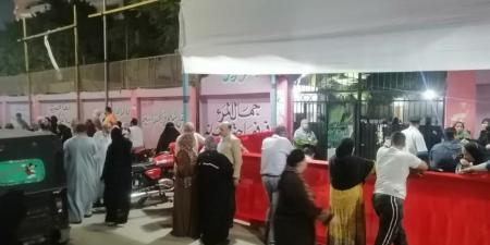 تنسيقية الأحزاب: إقبال ملحوظ للناخبين على لجان المنيب في انتخابات النواب