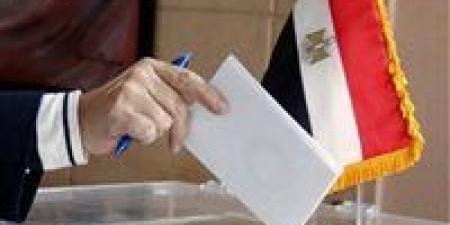 حصر عددي.. إعادة منتظرة بين مرشح حماة الوطن ومستقل على مقعد الدائرة الأولى بالأقصر