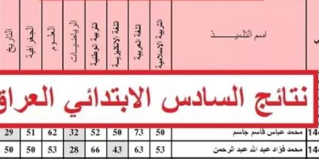 ملف PDF لنتائج السادس الابتدائي الدور الثالث 2025: بالاسم والرقم الامتحاني