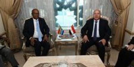 لقاء موسع بين وزيرا الصناعة المصري والجنوب أفريقي.. تفاصيل مهمة