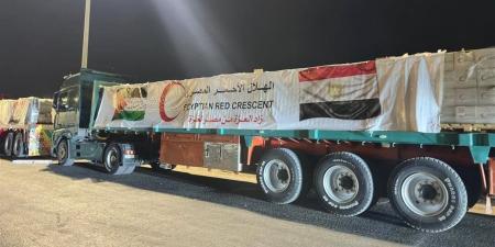 مصر تواصل جهودها لتسهيل دخول المساعدات إلى غزة عبر معبر رفح.. التفاصيل