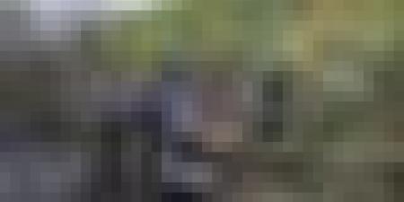 الحـالة العامة لحرائق الغطاء النباتي عبر 8 ولايات