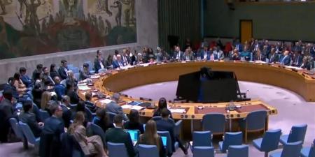 رفض واسع بمجلس الأمن للمقترح الأمريكي بشأن قوة استقرار غزة