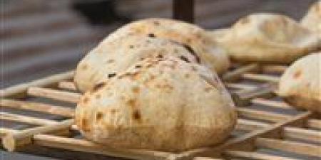 التموين تصدر قرارًا يخص سعر رغيف الخبز المدعم