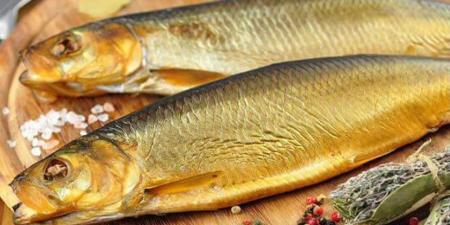 أسعار الرنجة في الغربية اليوم الجمعة 14 نوفمبر 2025