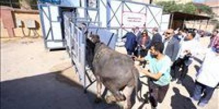 لأول مرة في مصر.. افتتاح أول مجزر متنقل بصناعة محلية بالكامل