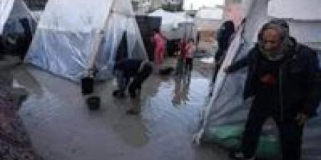 المتحدث باسم اللجنة المصرية في غزة: نلبي الإستغاثات في كثير من مناطق القطاع