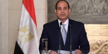 الرئيس السيسى يشدد على ضرورة توفير المزيد من الحوافز والتيسيرات للمستثمرين في قطاعات البترول