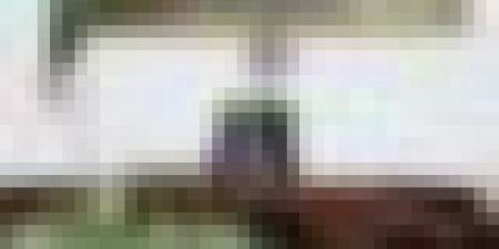 ترقية 11 مقاطعة إدارية إلى ولايات كاملة الصلاحيات