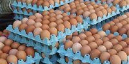 انهيار سعر طبق البيض وسط مطالبات المربين بتحديد سعر عادل