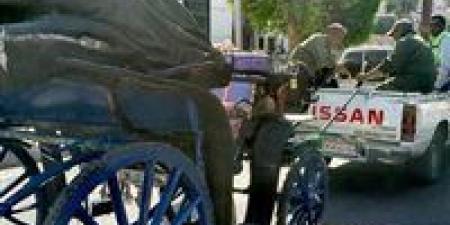 مجلس مدينة الأقصر يواصل حملات التحفظ على عربات الحنطور المخالفة في الأقصر