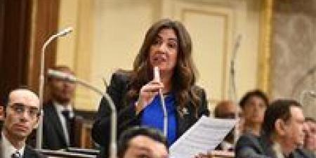 النائبة أميرة العادلي لـ لميس الحديدي: وعي المصريين أقوى من المال السياسي.. والطبقة الوسطى لا تُشترى