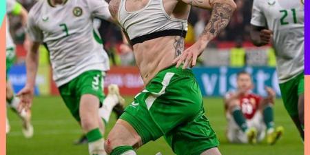 هدف قاتل في +90 يمنح أيرلندا بطاقة الملحق وينهي حلم المجر