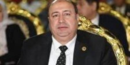 عضو بالشيوخ: توجيهات الرئيس بشأن انتخابات النواب تؤكد ان إرادة المصريين ستكون المعبرة