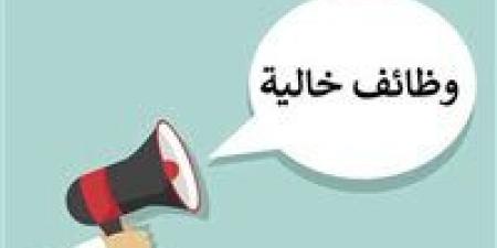 وزارة العمل تعلن عن 4202 فرصة عمل جديدة في 53 شركة بـ 14 محافظة