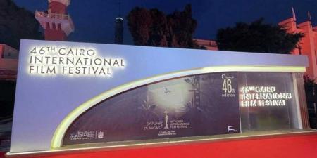 القاهرة السينمائي.. حين يصبح الفن جسرًا يعبر الثقافات ويجمع المبدعين