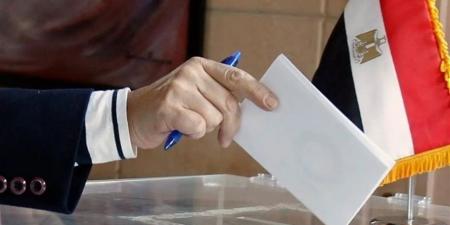 "المستقلين الجدد": تدوينة الرئيس بشأن انتخابات مجلس النواب تؤكد وقوفه في صف المواطن