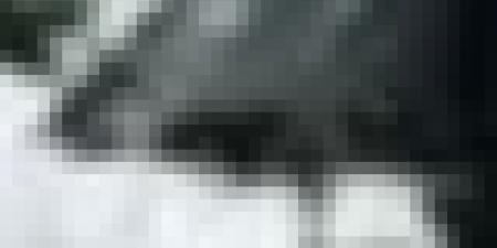 تنبيه من المستوى الثاني.. أمطار غزيرة تتعدى 40 ملم عبر هذه الولايات