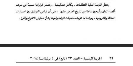 من بينها إلغاء النتيجة.. خطوات وآليات نظر الطعون على إجراءات الاقتراع والفرز في الانتخابات