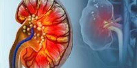 بول الثعابين يكشف طرقًا جديدة لعلاج النقرس وحصوات الكلى