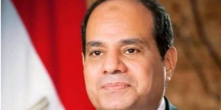 "مصر السلام" ترحب بتوجيهات الرئيس السيسي بضمان شفافية انتخابات مجلس النواب