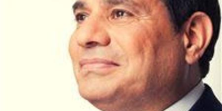 المصري الديمقراطي لـ تحيا مصر: نثمن تدخل الرئيس السيسي لمواجهة أي خروقات انتخابية وحماية أصوات الناخبين