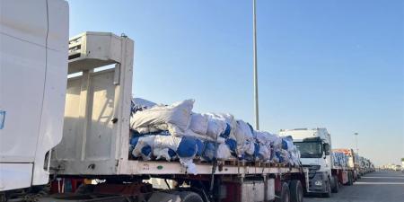 جسر العون من مصر للأشقاء.. إطلاق قافلة "زاد العزة" الـ75 إلى غزة