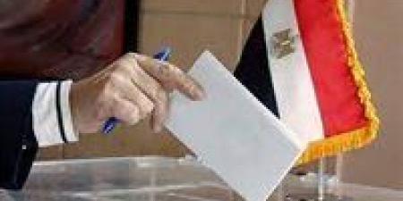 مدير الجهاز التنفيذي للهيئة الوطنية العليا: قد نصل إلى إعادة انتخابات مجلس النواب