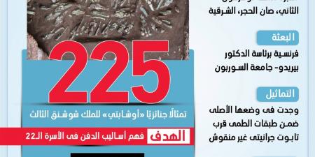 اكتشاف مقبرة الملك أوسركون الثاني صاحب الإسهامات المعمارية المميزة بمدينة تانيس (إنفوجراف)