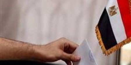 الصمت الانتخابي.. المرشحون يختتمون حملاتهم الدعائية في انتخابات النواب