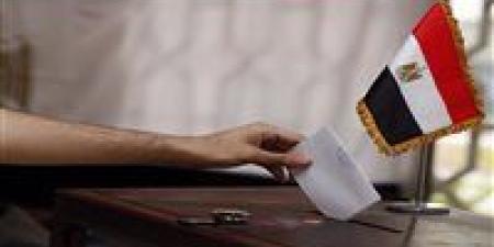 البداية من نيوزيلندا.. انطلاق المرحلة الثانية من انتخابات النواب في العاشرة مساءً اليوم