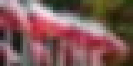 بولونيا تخصص أكثر من 100 ألف يورو للمساعدات الإنسانية للاجئين الصحراويين