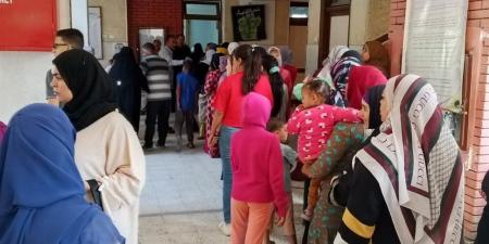 أثر الطعون الانتخابية على نتائج المرحلة الأولى لانتخابات مجلس النواب 2025